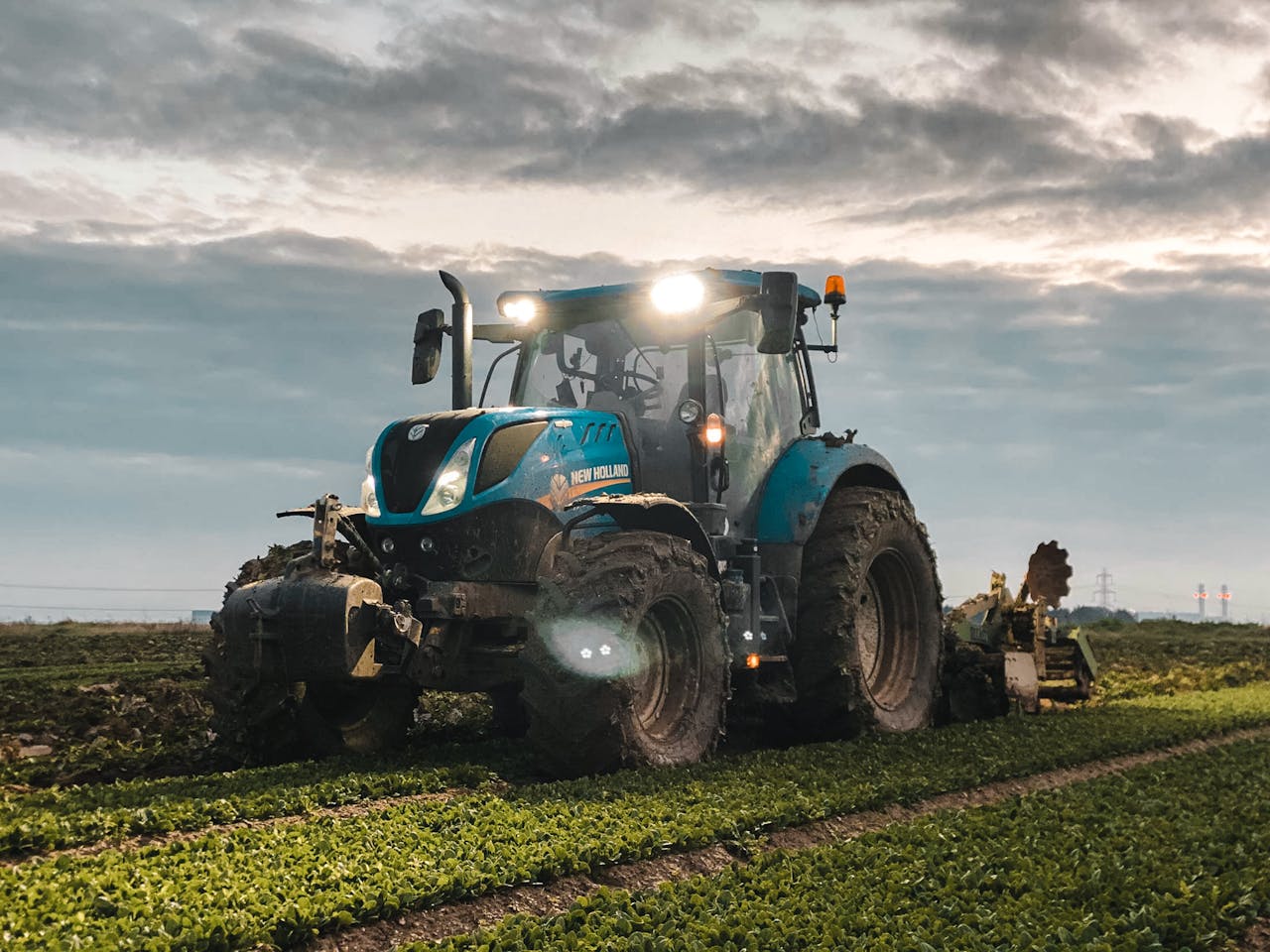 Blue tractor plowing a verdant field with overcast sky during early evening.